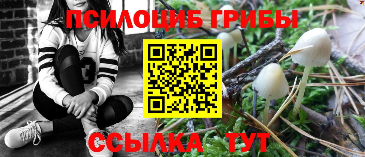Галлюциногенные грибы Magic Shrooms Лобня